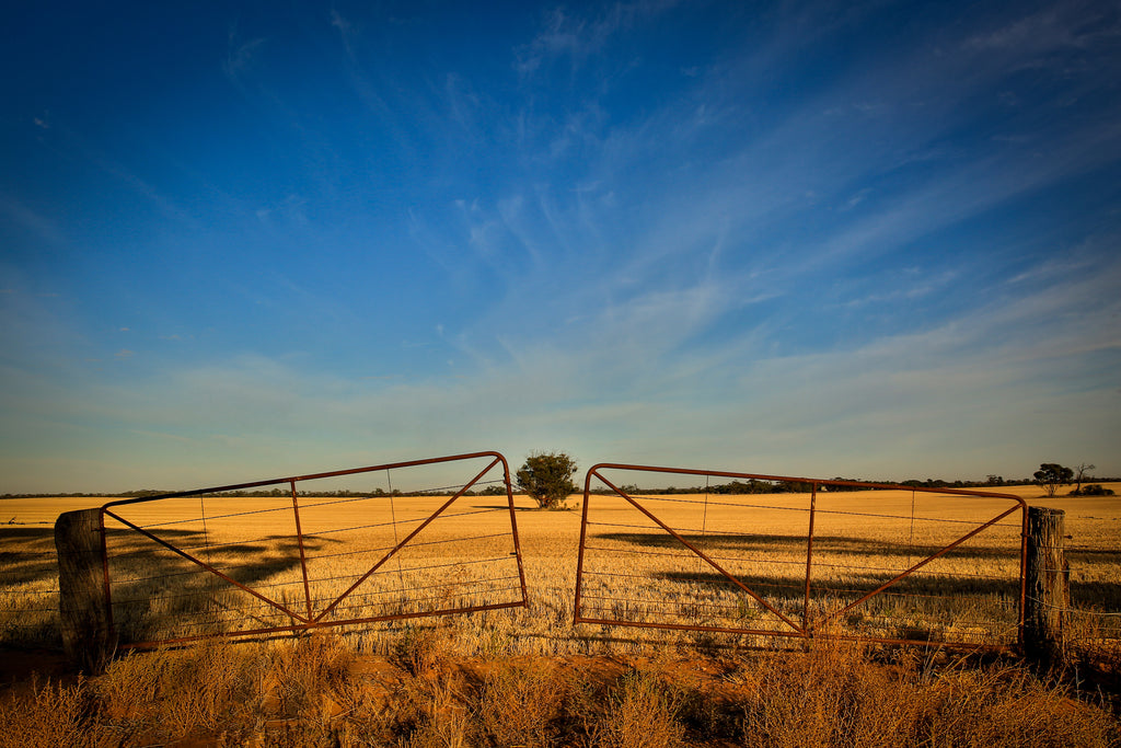 Welcome to Lanolin Beauty